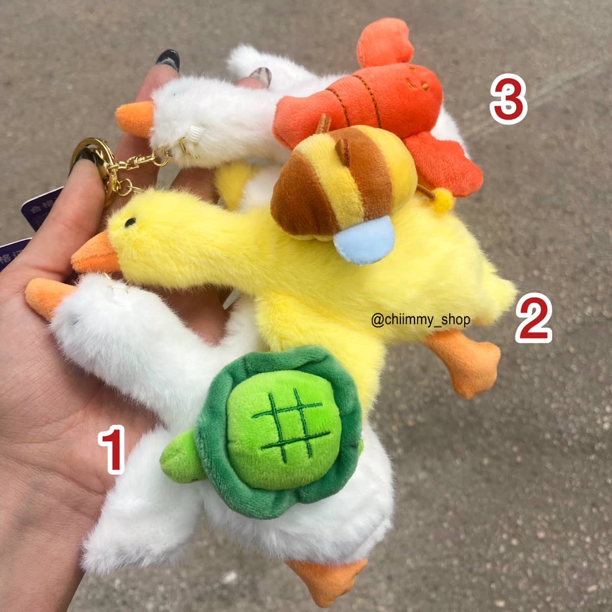 جاکلیدی اردک خوابیده